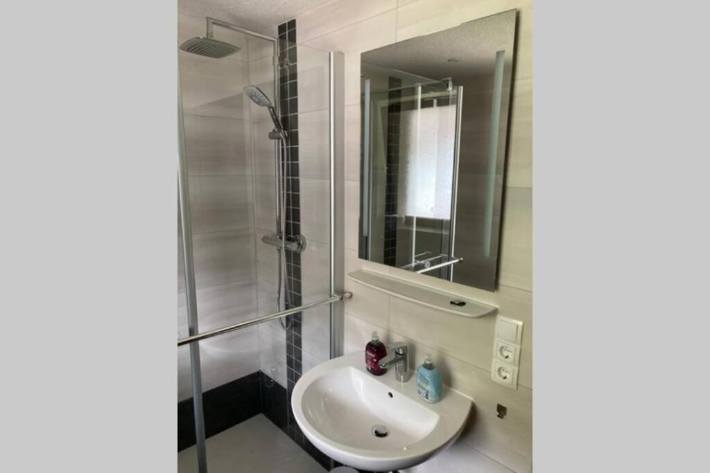 Gemuetliche Ferienwohnung In Sankt Blasien エクステリア 写真