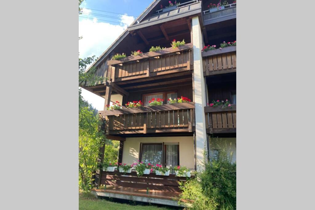 Gemuetliche Ferienwohnung In Sankt Blasien エクステリア 写真