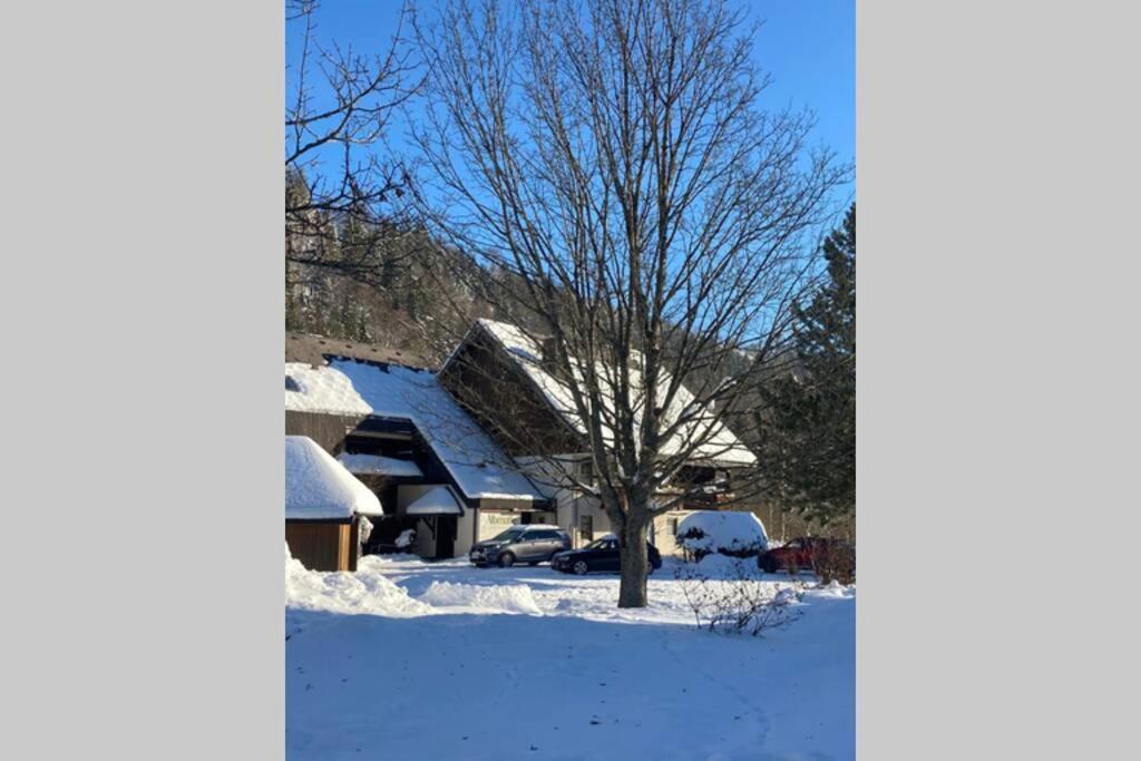 Gemuetliche Ferienwohnung In Sankt Blasien エクステリア 写真