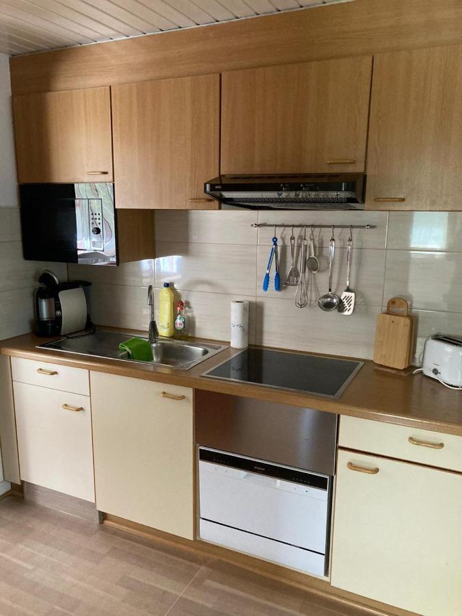 Gemuetliche Ferienwohnung In Sankt Blasien エクステリア 写真