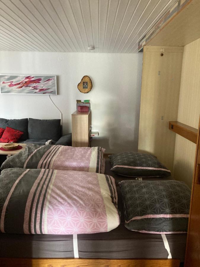 Gemuetliche Ferienwohnung In Sankt Blasien エクステリア 写真