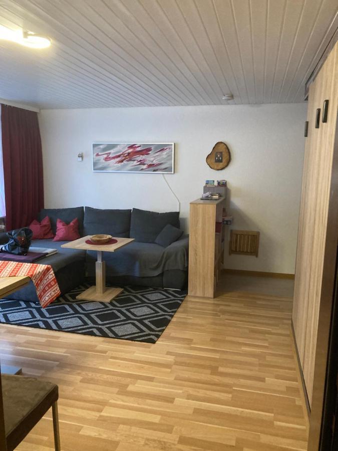 Gemuetliche Ferienwohnung In Sankt Blasien エクステリア 写真