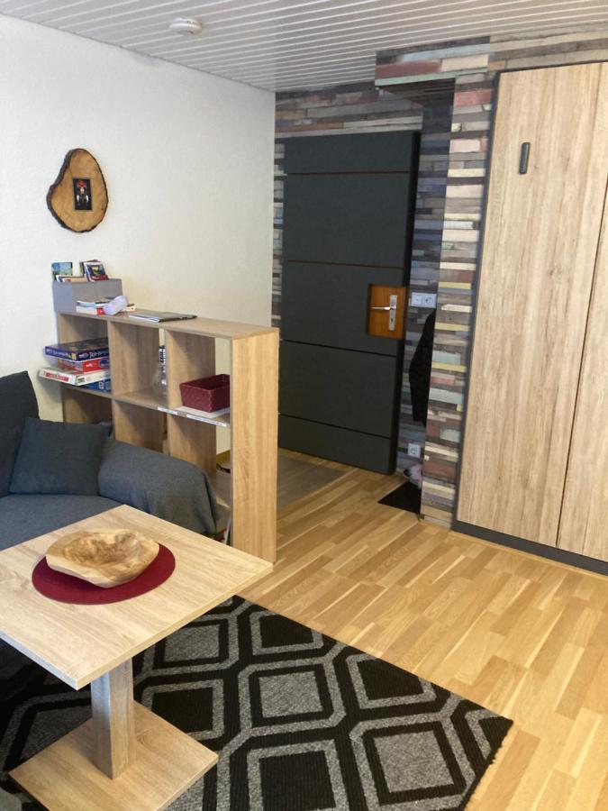Gemuetliche Ferienwohnung In Sankt Blasien エクステリア 写真